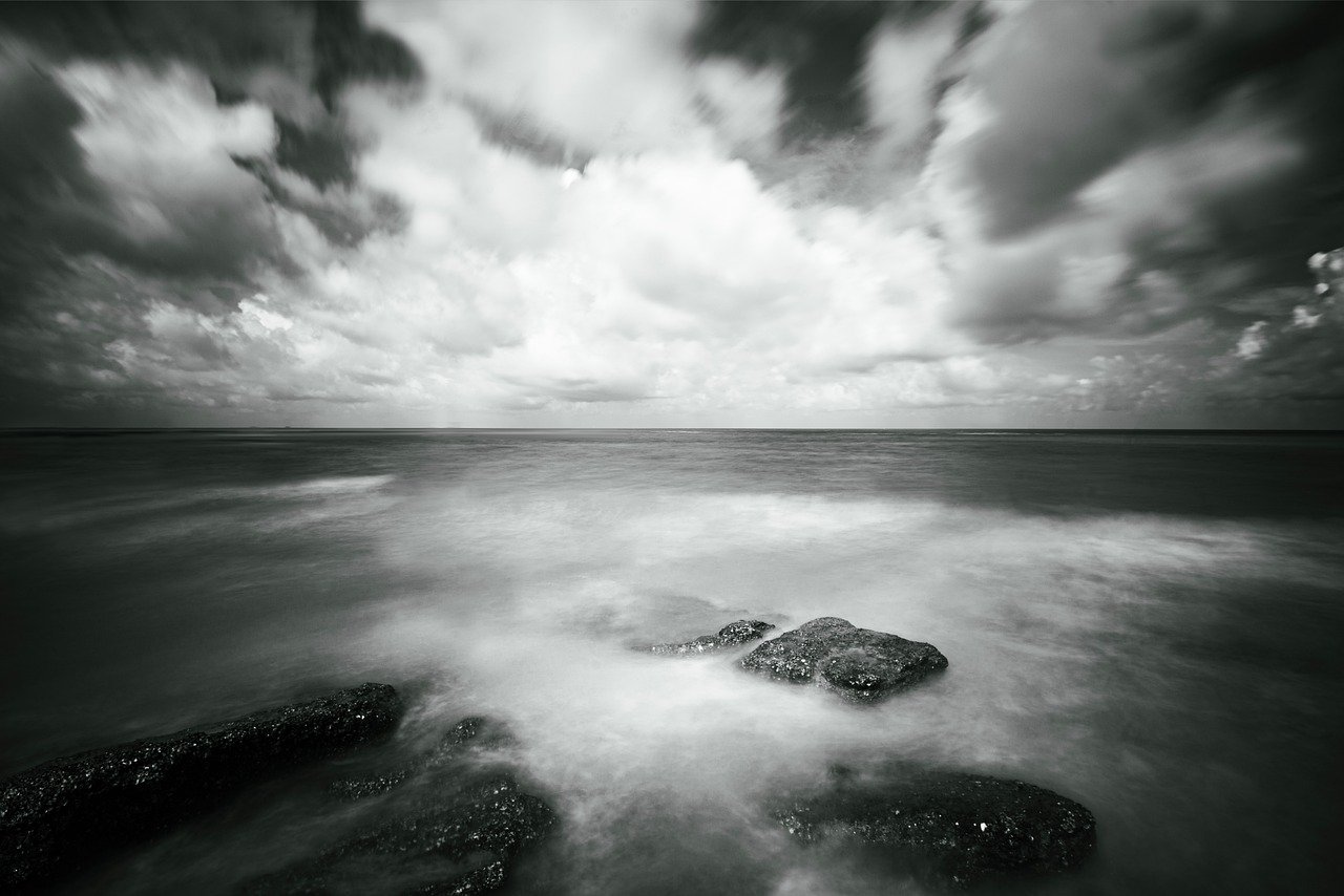 découvrez l'art de la photographie : techniques, conseils et inspirations pour capturer des moments uniques et sublimer vos images.