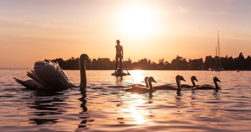 Lac de Constance en Allemagne : que voir, activités et secrets d’un joyau alpin