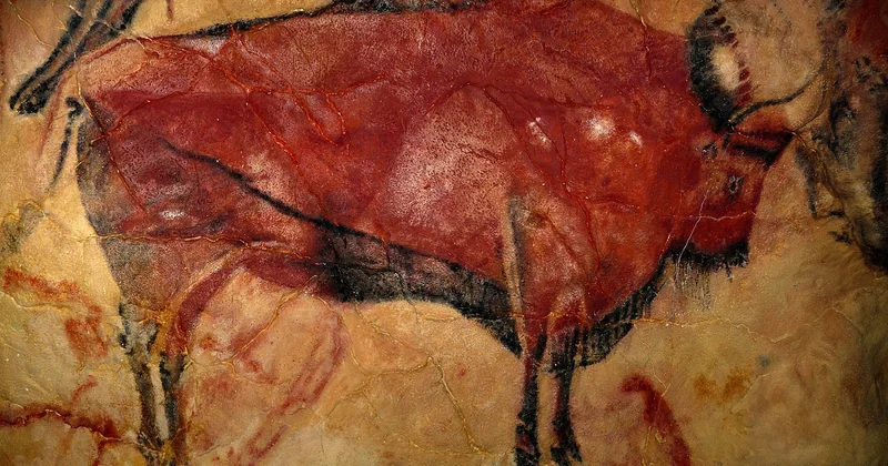 Ce qu'on voit réellement à l'intérieur