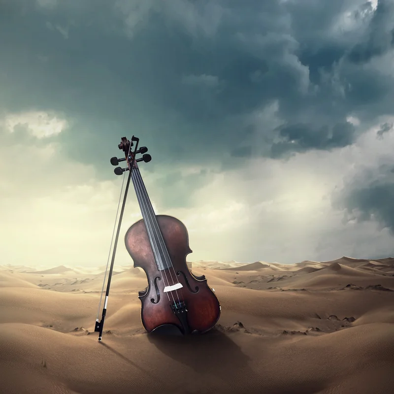 Les exceptions aux règles : instruments de musique, équipements sportifs et objets fragiles