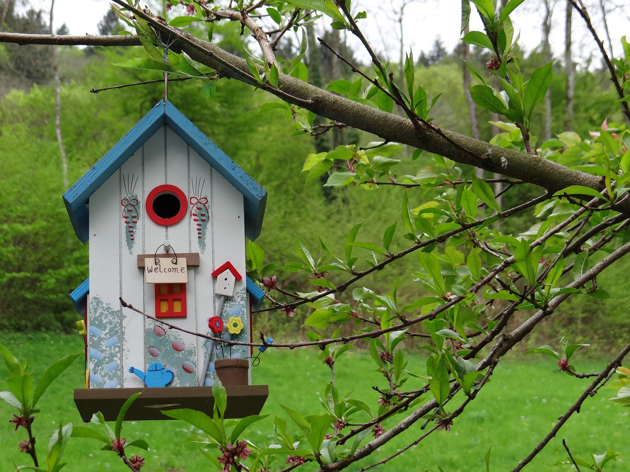 Dormir dans une cabane dans les arbres : une expérience unique en pleine nature