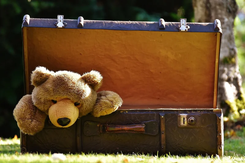 Comment débloquer la valise Delsey (si tu as oublié le code)