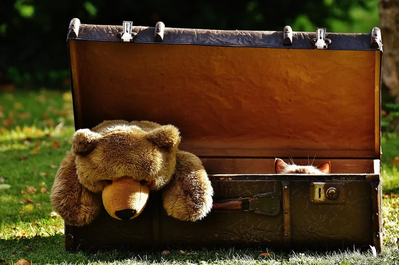 Quelle taille de valise pour 23 kg ? Le cas Delsey