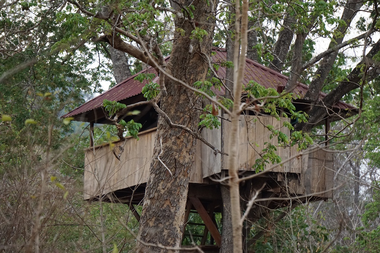découvrez notre incroyable cabane dans les arbres, un refuge unique pour toute la famille au cœur de la nature. profitez d'une escapade paisible et d'aventures inoubliables.